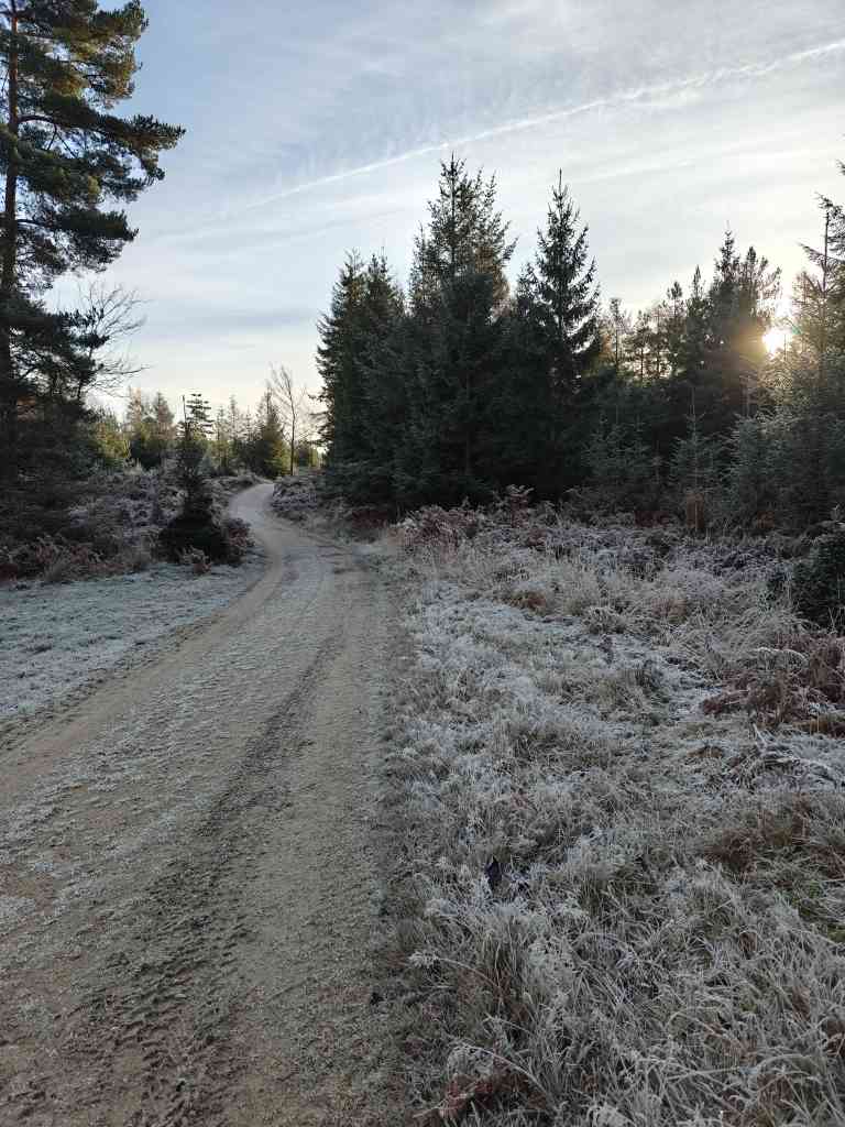 Vinter