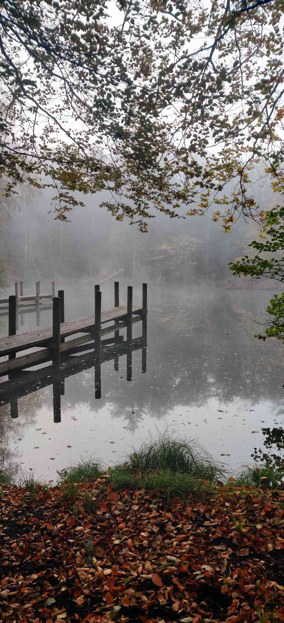 Efterår